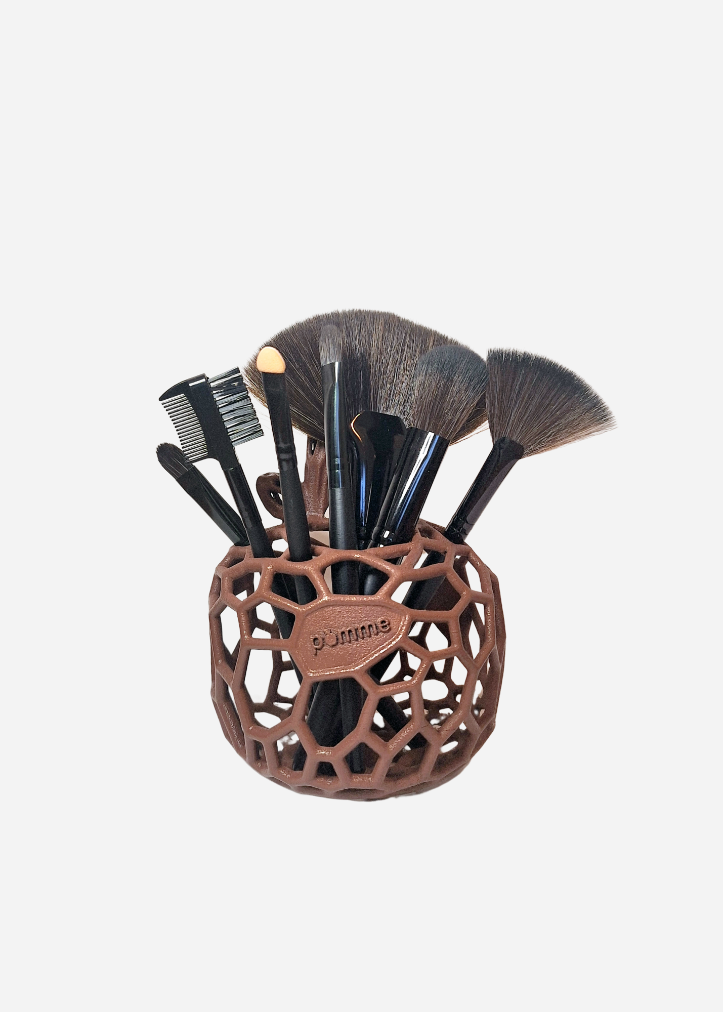 Plant 'Autumn Burgundy'