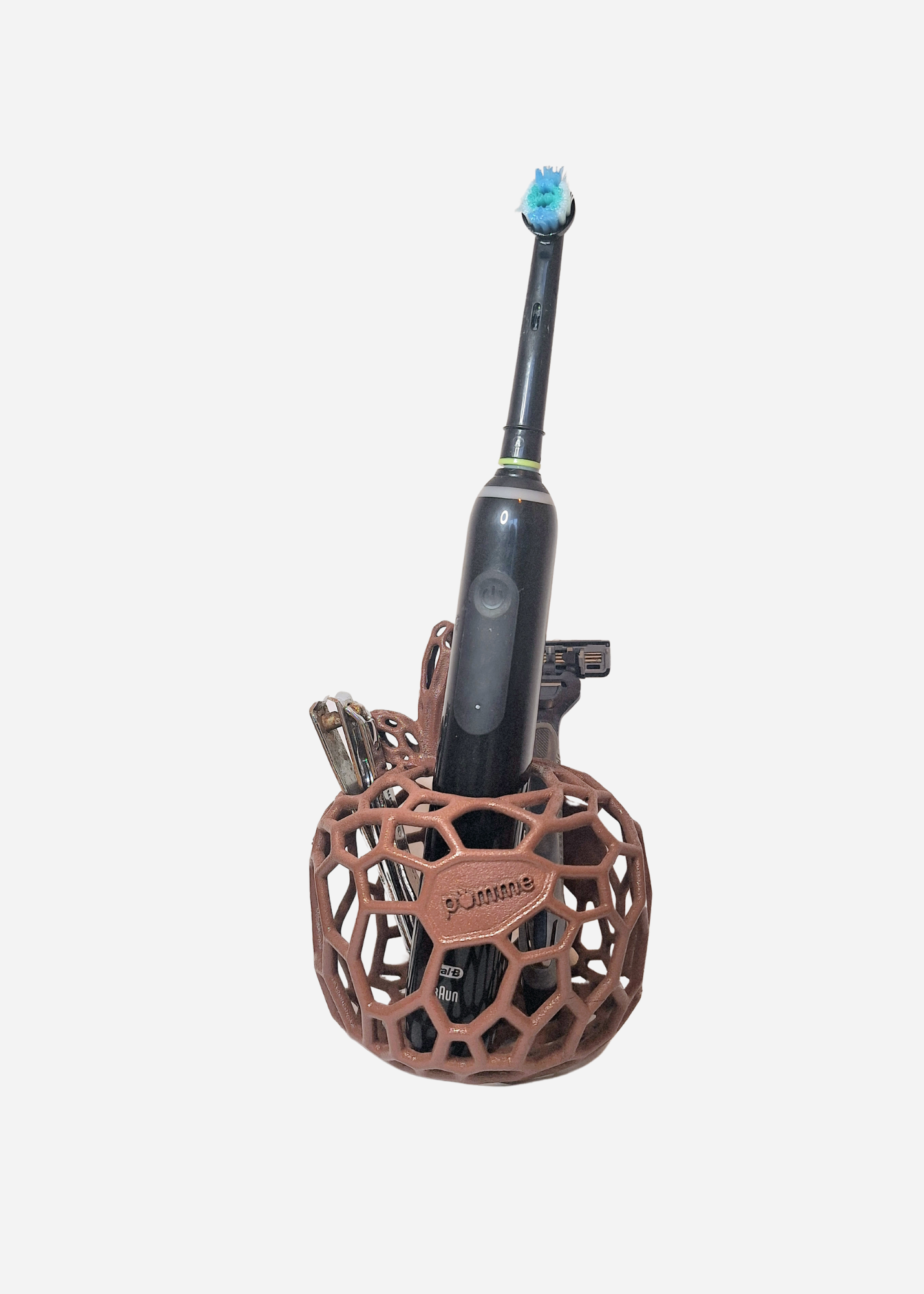 Plant 'Autumn Burgundy'