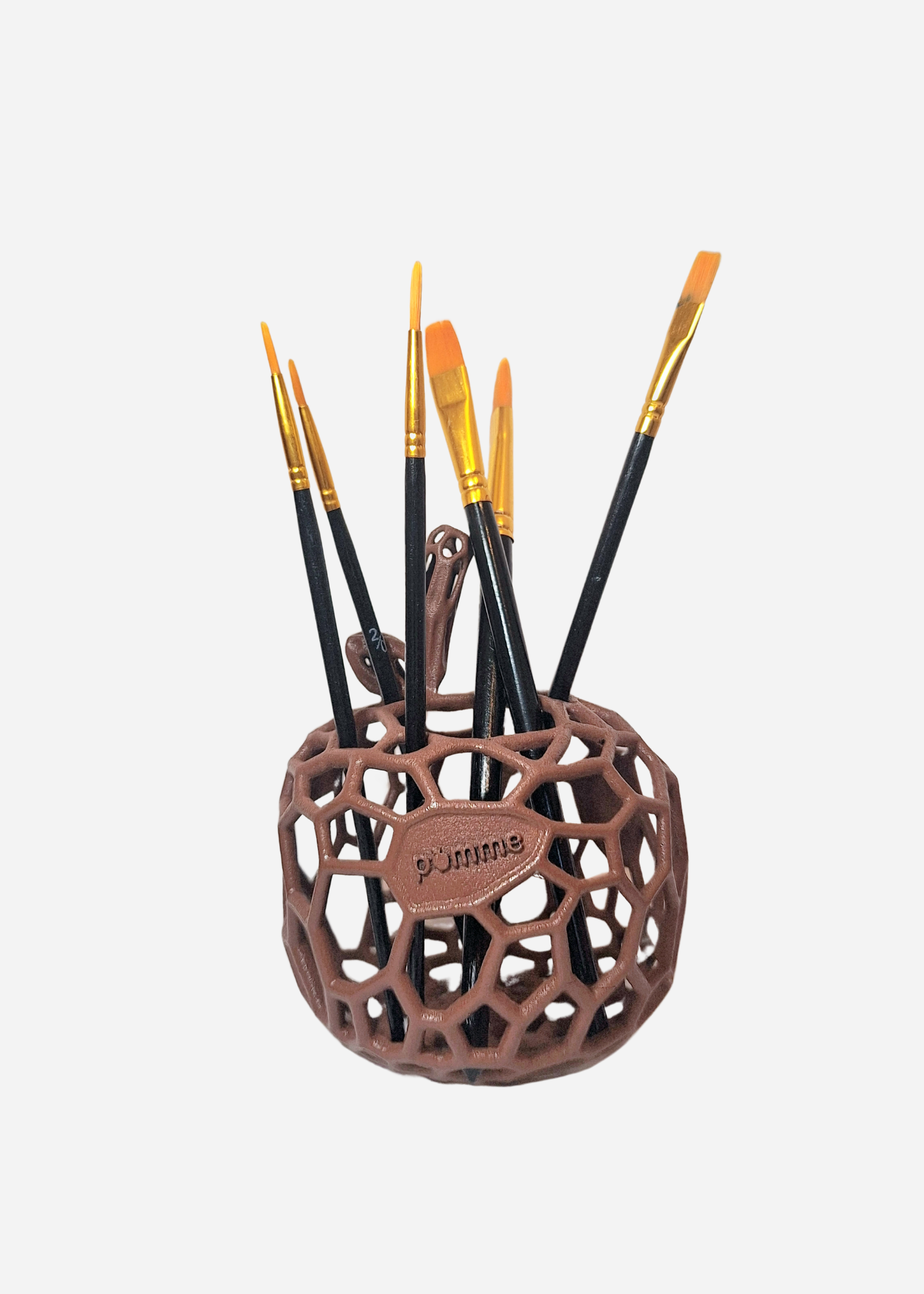 Plant 'Autumn Burgundy'