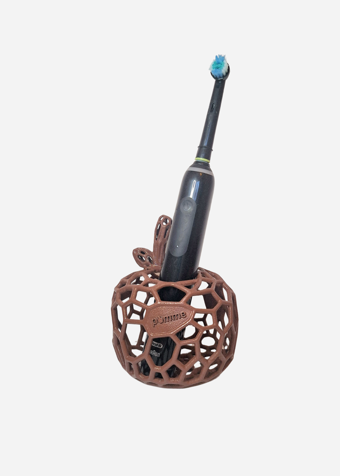 Plant 'Autumn Burgundy'